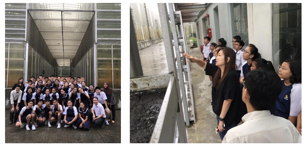 Students on excursion to learn about vertical farming.